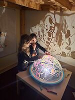 Schattenspiele an der Wand