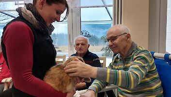 Kaninchen wird gestreichelt