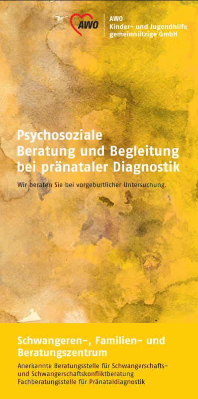 Flyer pränatal Diagnostik