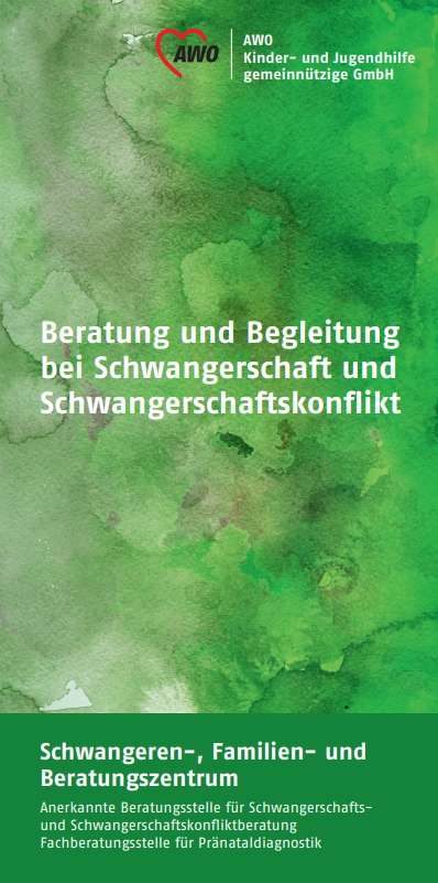 Begleitung Schwangerschaft Flyer