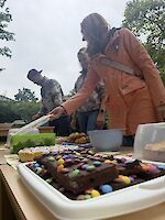 Kuchenbasar