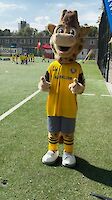 Dynamo Dresden