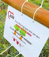 Baumpatenschaft