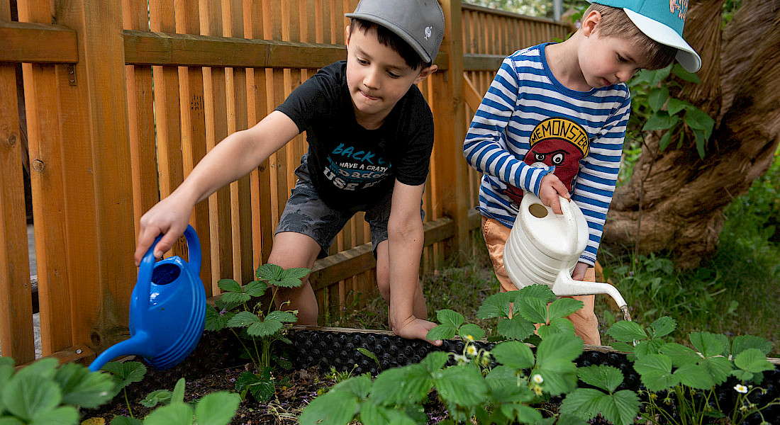 Zwei Kinder gießen Pflanzen im Garten.
