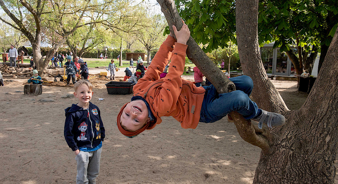 Ein Kind klettert fröhlich in einem Baum, im Hintergrund spielen andere Kinder.